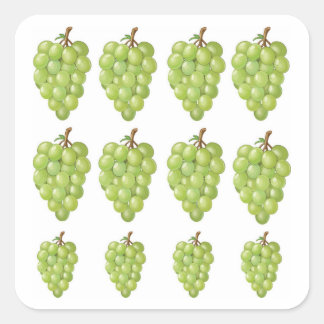 Sticker Carré Raisins verts