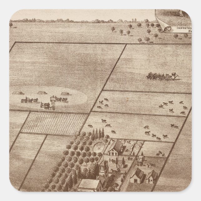 Sticker Carré ranch Bertch (Devant)