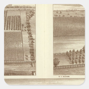 Sticker Carré Ranchs de Lemoore