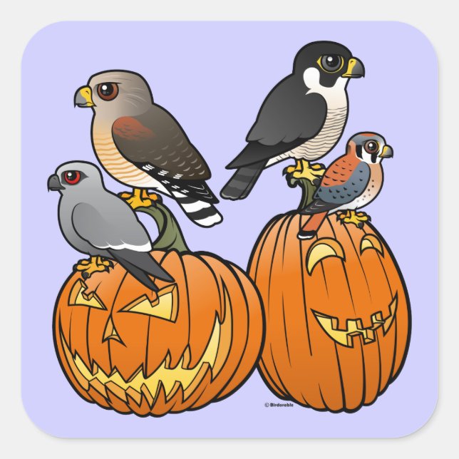 Sticker Carré Rapaces Birdables sur les Citrouilles (Devant)