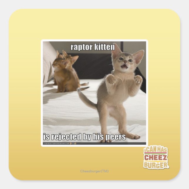 Sticker Carré Raptor Kitten (Devant)