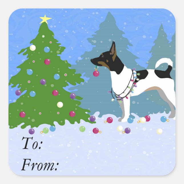 Sticker Carré Rat Terrier décorant un arbre de Noël en forêt (Devant)