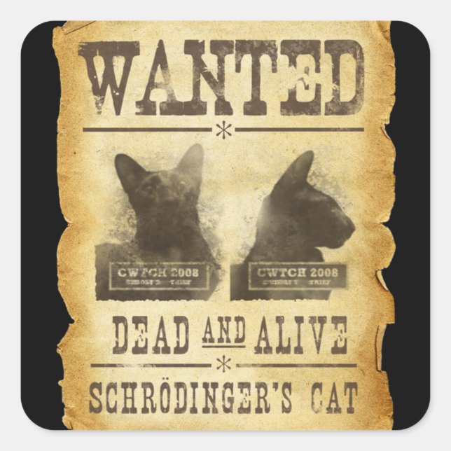 Sticker Carré Recherché mort et vivant. Le chat de Schroedinger. (Devant)
