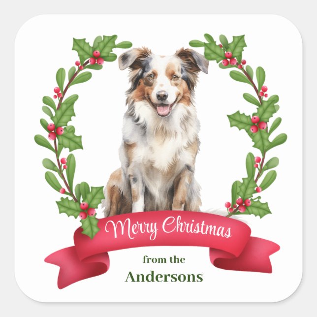 Sticker Carré Red Berry Holly Banner Australian Shepherd Holiday (Devant)