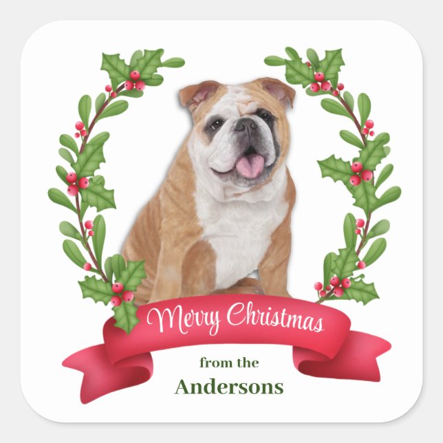 Sticker Carré Red Berry Holly Banner Bulldog Noël (Devant)