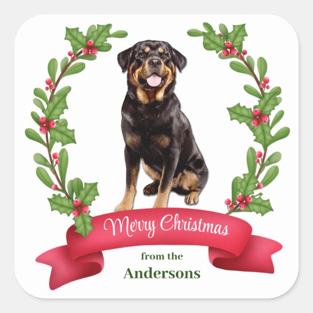 Sticker Carré Red Berry Holly Banner Rottweiler Chien Noël (Devant)