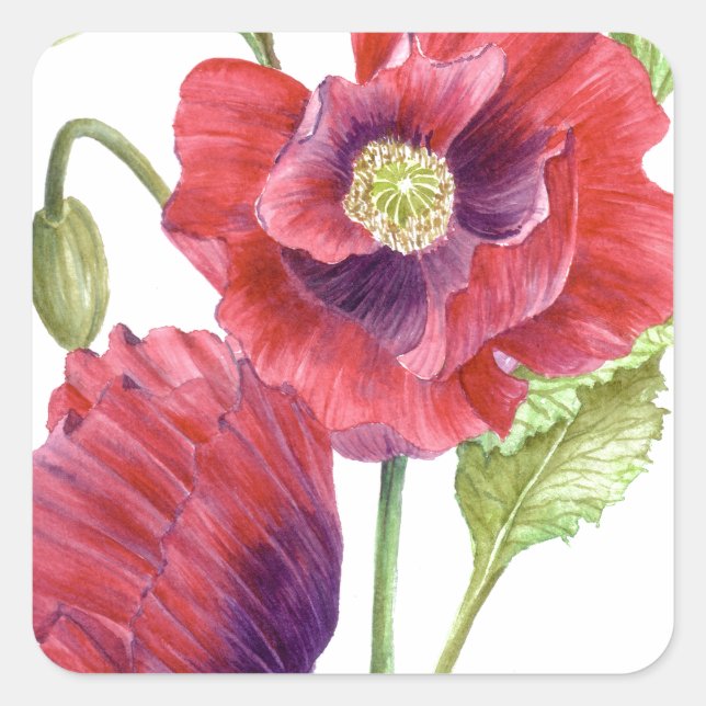 Sticker Carré Red Poppies Floral Art (Devant)