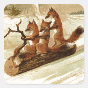 Sticker Carré Renard