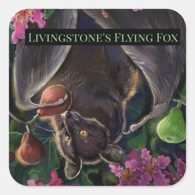 Sticker Carré Renard volant Livingstone (Devant)
