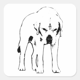 Sticker Carré Respectez le rayon