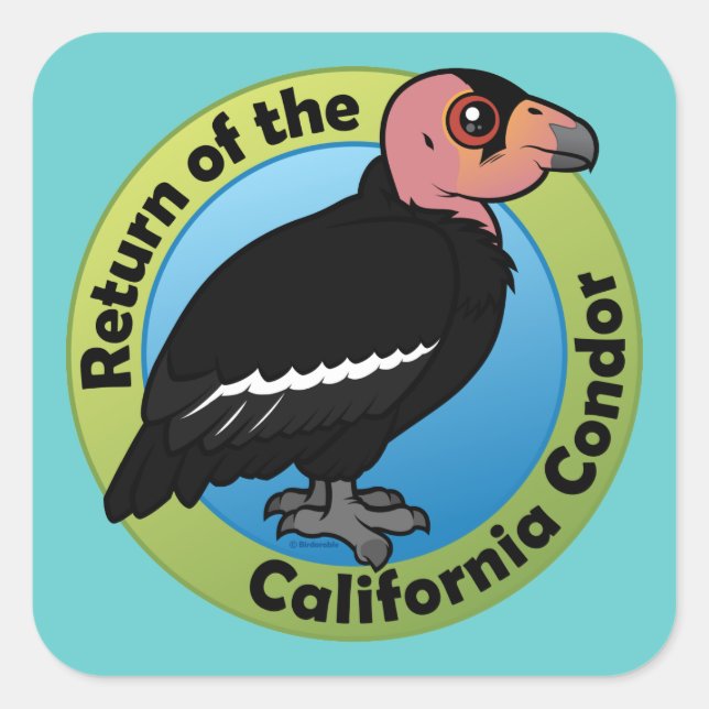 Sticker Carré Retour du Condor de Californie (Devant)