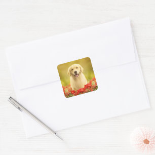 Sticker Carré Retraite d'or en fleurs rouges