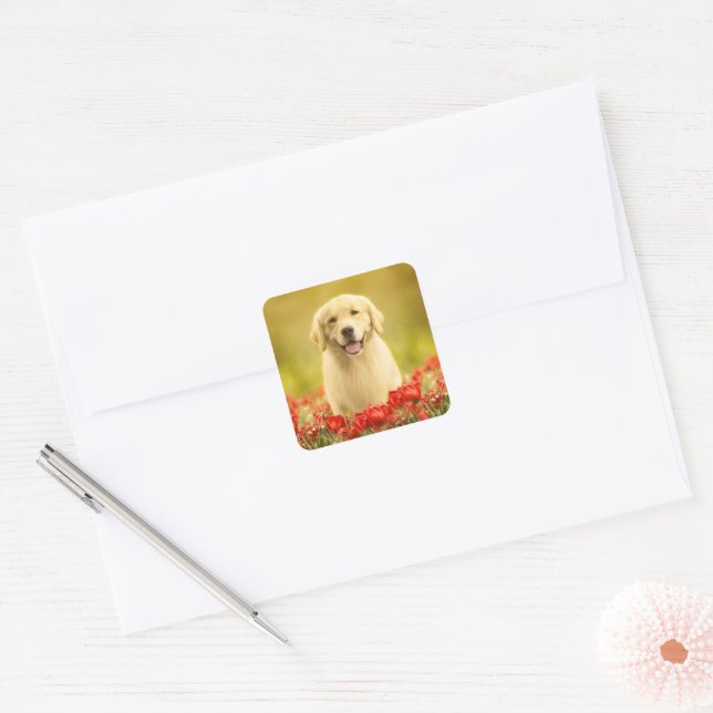 Sticker Carré Retraite d'or en fleurs rouges (Enveloppe)