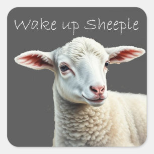 Sticker Carré Réveillez Sheeple Conspiration Théorie Citation