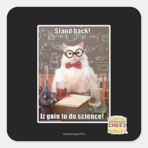 Sticker Carré Reviens !