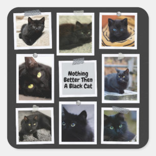 Sticker Carré Rien De Mieux Qu'Un Chat Noir