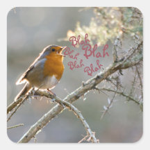 Robin chantant dans un arbre