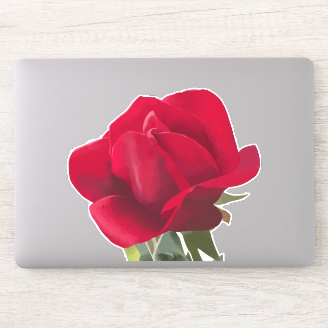 Sticker Carré Rose rouge - Red rose  (Ordinateur)