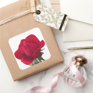 Sticker Carré Rose rouge - Red rose 