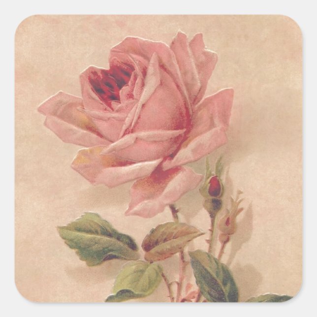 Sticker Carré Rose Victorian (Devant)