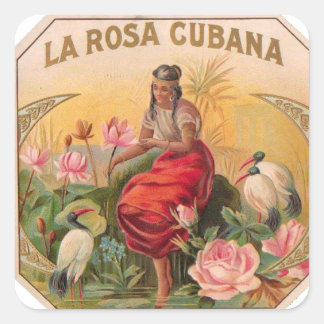 Sticker Carré Rosée cubana Diseño Vintage Cuba