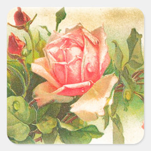 Sticker Carré Roses in Bloom