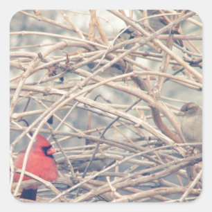 Sticker Carré Rouge dans un hiver triste par angelandspot.