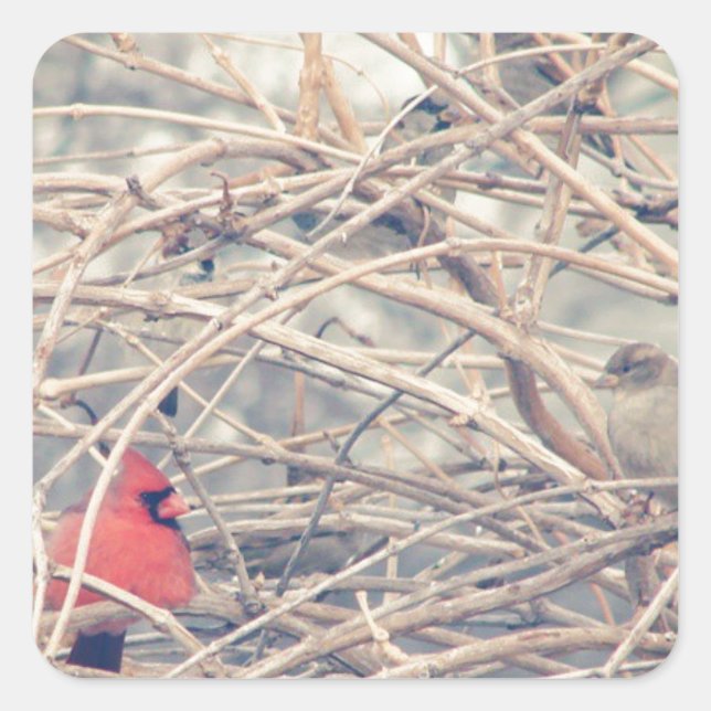 Sticker Carré Rouge dans un hiver triste par angelandspot. (Devant)