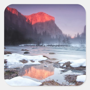 Sticker Carré Rouge d'Omega