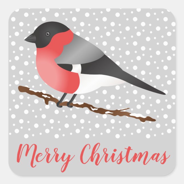 Sticker Carré Rouge Eurasien Bullfinch Oiseau gris Noël d'hiver (Devant)