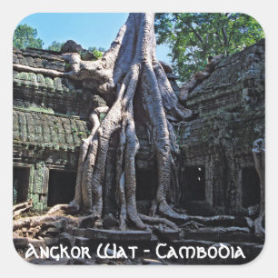 Sticker Carré Ruine de Ta Prohm - Angkor Wat, Cambodge, Asie