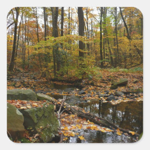 Sticker Carré Ruisseau de Fall avec reflet au parc Laurel Hill