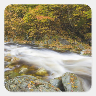 Sticker Carré Ruisseau Rugissant en automne dans les Montagnes V