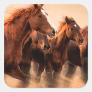 Sticker Carré running horses, blur and flying manes