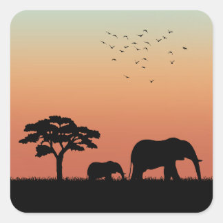 Sticker Carré Safari Afrique Sunset Elephant Silhouette
