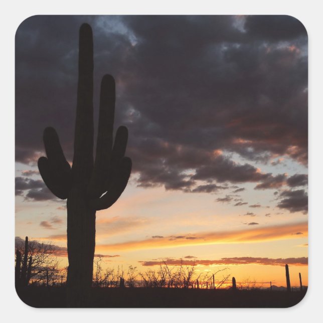 Sticker Carré Saguaro Sunset III Arizona Desert Paysage (Devant)