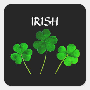 Sticker Carré Saint Patrick's Day Iriss Shamrocks Feuilles Green