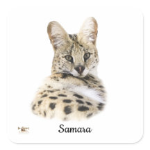 Samara douce