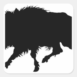 Sticker Carré Sanglier ou cochon sauvage Elégant Silhouette