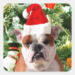 Sticker Carré Santa Hat Bulldog Christmas Tree Snowman boîte cad