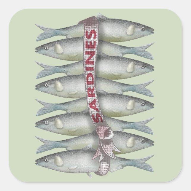 Sticker Carré Sardines fraîches (Devant)