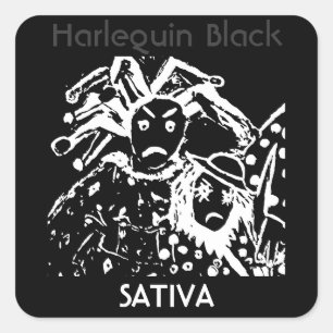 Sticker Carré Sativa noir de harlequin