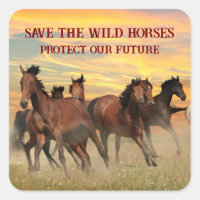 Sauvez Les Chevaux Sauvages