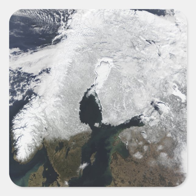 Sticker Carré scandinave (Devant)