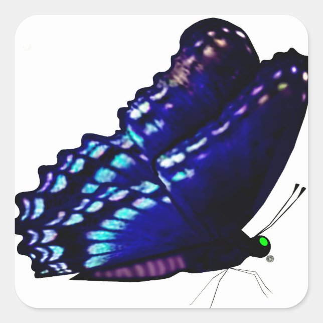 Sticker Carré Sceau d'enveloppe papillon (Devant)