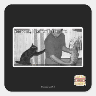 Sticker Carré Scooz, je crois que c'est le mien