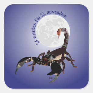 Sticker Carré Scorpion 24 october 22 novembre