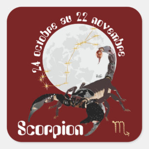 Sticker Carré Scorpion 24 octobre 22 novembre