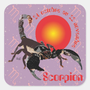 Sticker Carré Scorpion 24 octobre 22 novembre