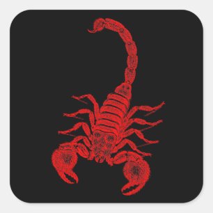 Sticker Carré Scorpions vintages de rouge d'illustration de